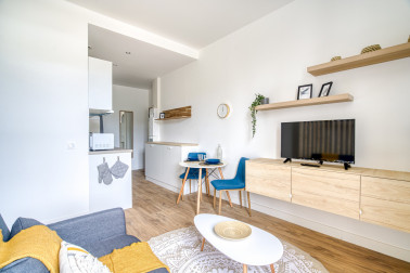 Magnifique Studio de 24m2 refait à neuf et meublé - Villeurbanne